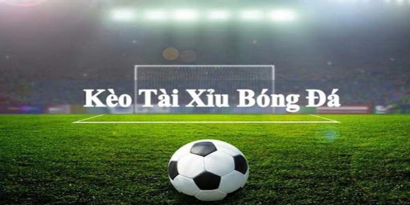 Lựa chọn kèo Tài Xỉu nhiều bàn thắng sau khi nhận định Ý vs Albania