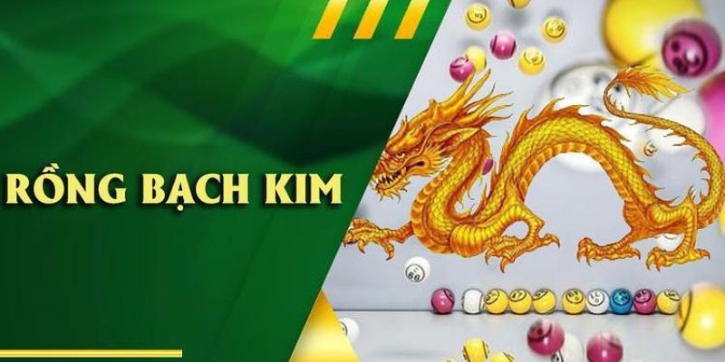 Lý do nên tham khảo dự đoán rồng bạch kim tại Kubet