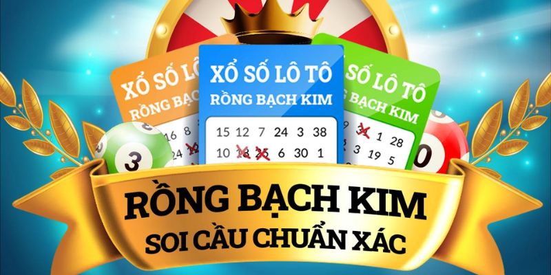 Những chú ý quan trọng khi tham gia soi cầu bạch kim